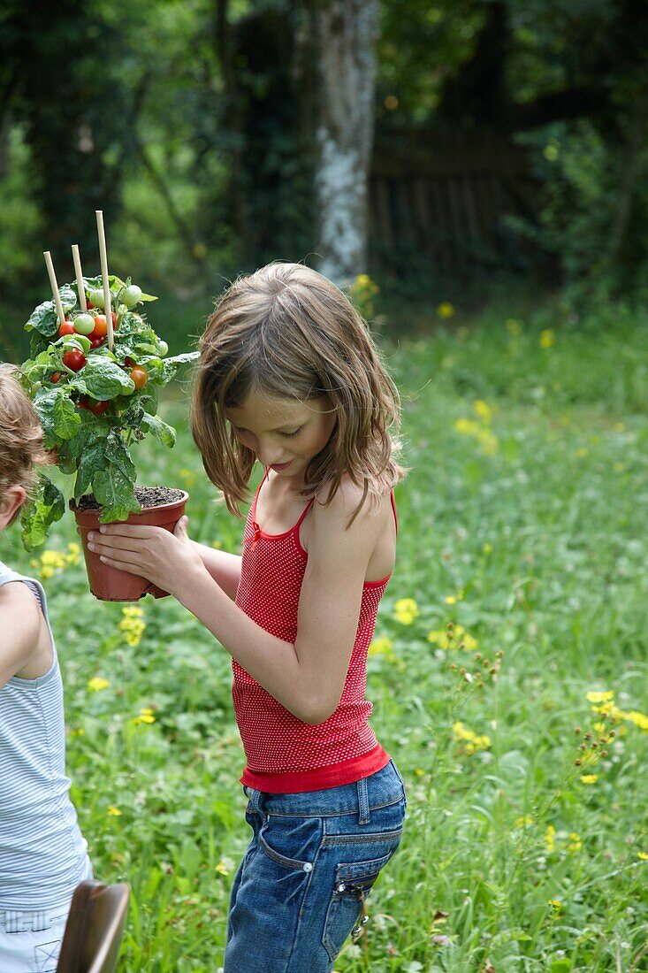 Girl holding tomato plant