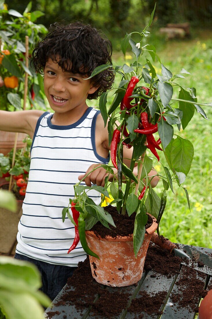 Boy with Capsicum annuum