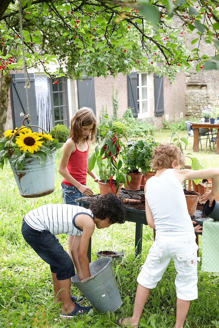 Children planting vegetable plants