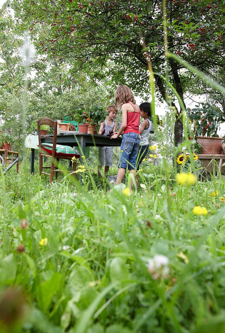 Children planting vegetable plants