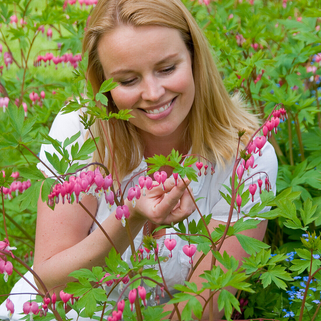 Woman touching Dicentra spectabilis