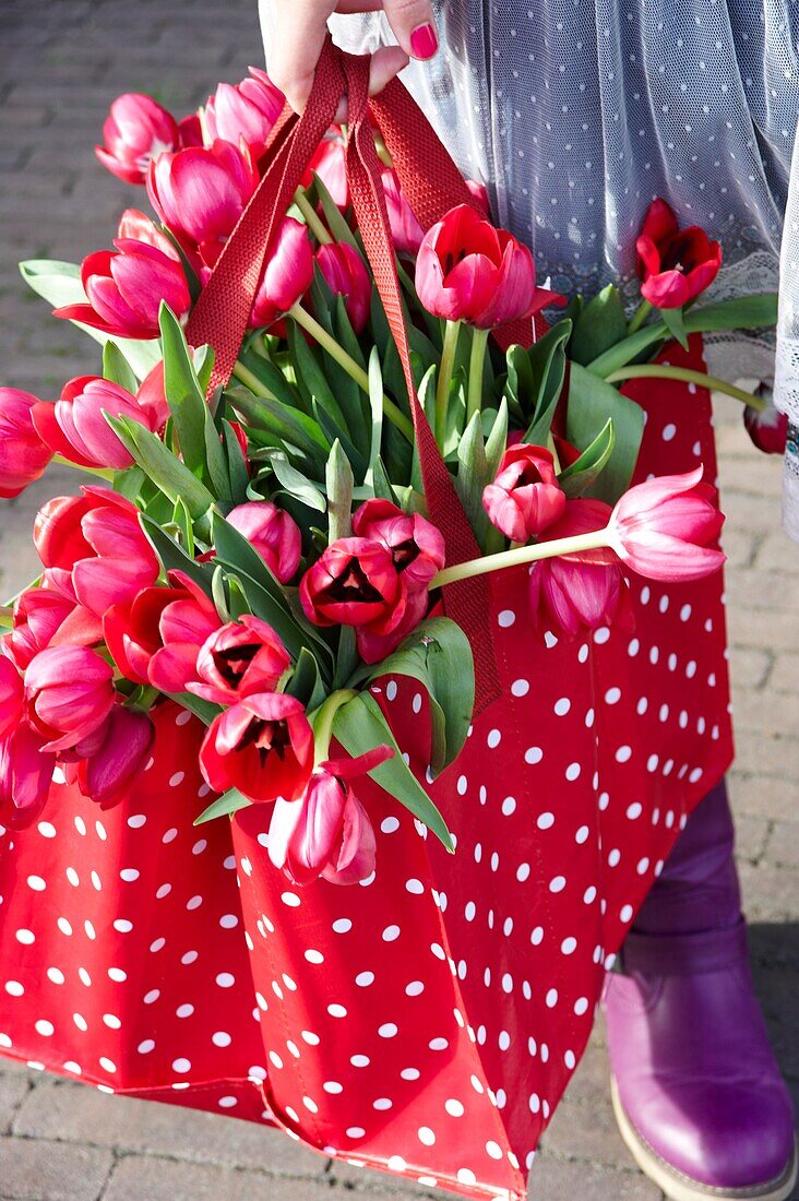 Woman holding tulips