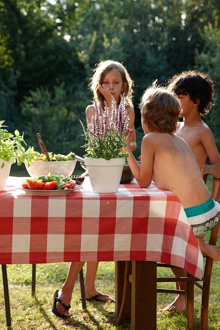 Salads on picnic table