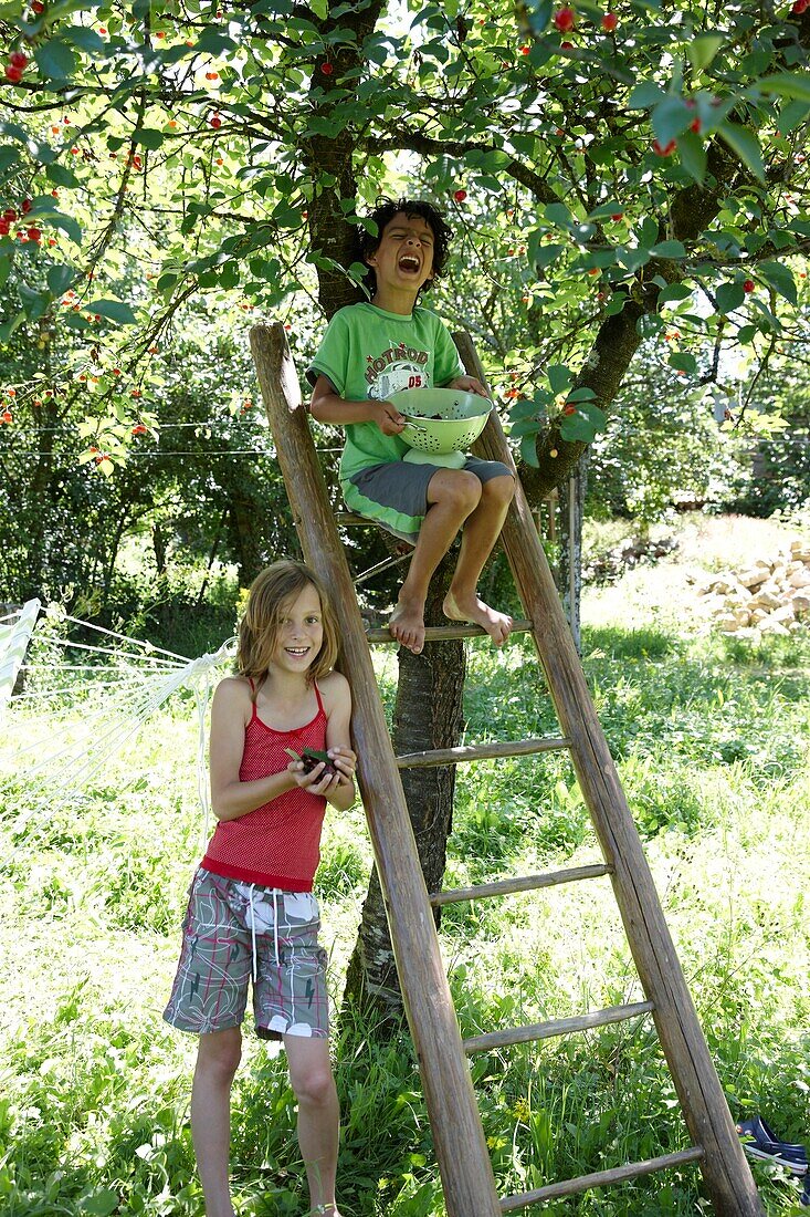 Children in orchard
