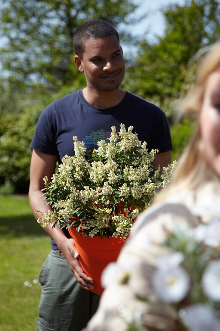 Man holding Pieris japonica