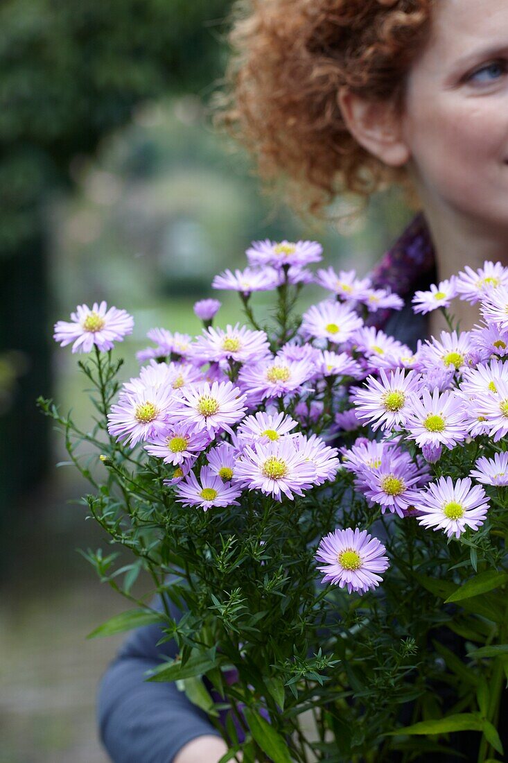 Frau hält Aster