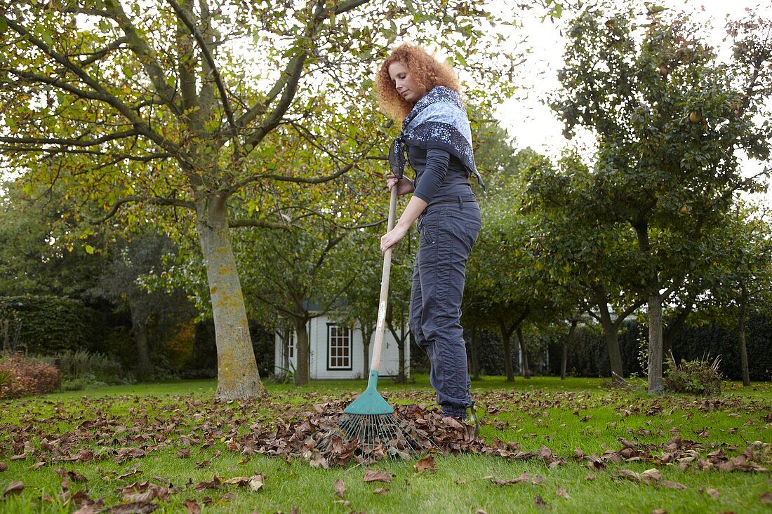 Woman raking leaves