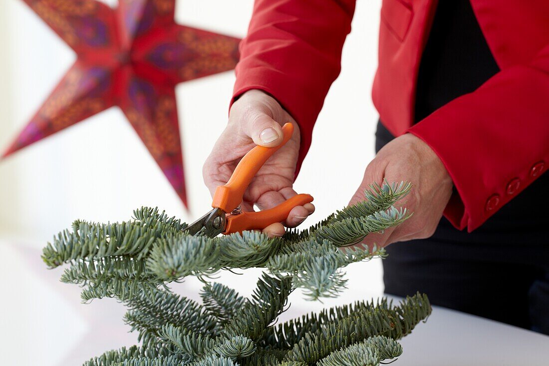 Making christmas arrangement