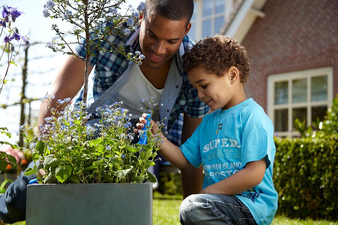 Family planting Ceanothus and Brunnera