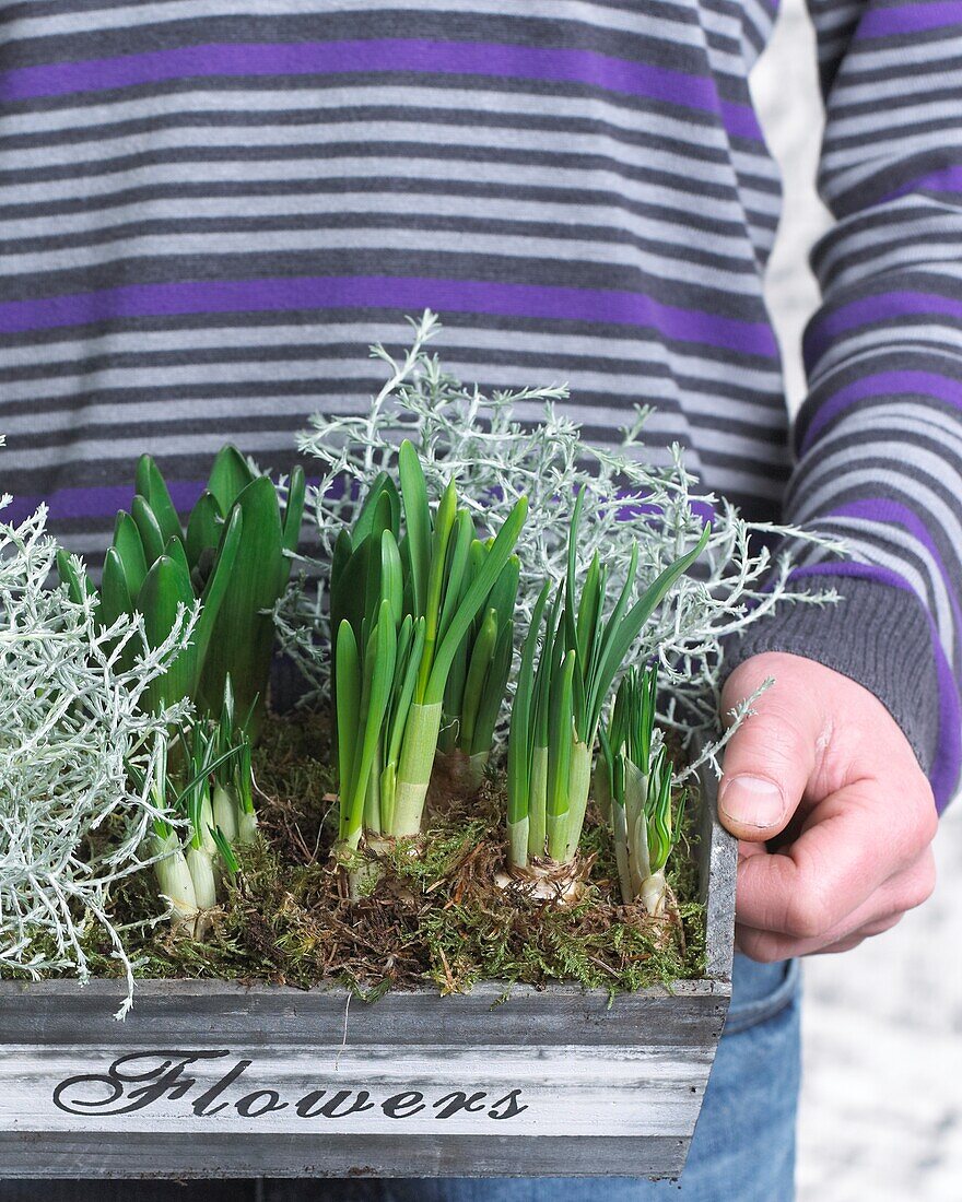 Holding spring container