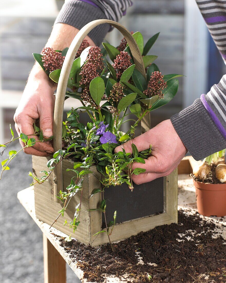 Planting spring container