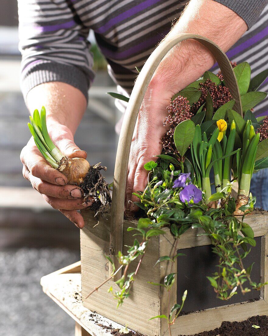 Planting spring container