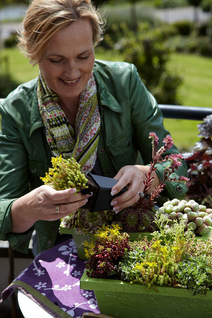 Woman planting succulents