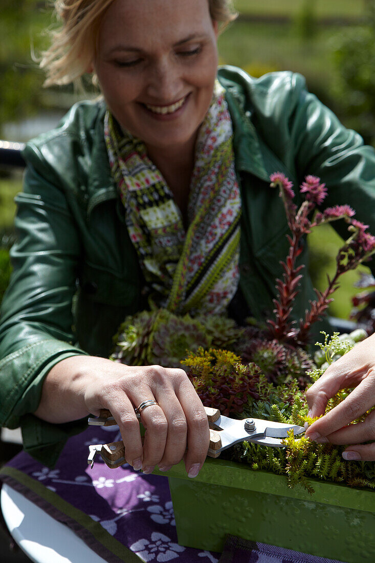 Woman trimming succulents