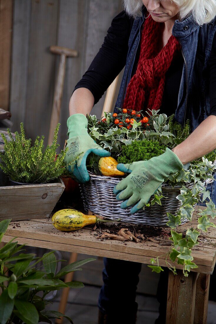 Planting winter container