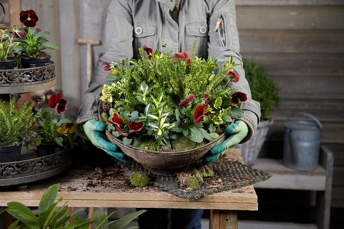 Winter container