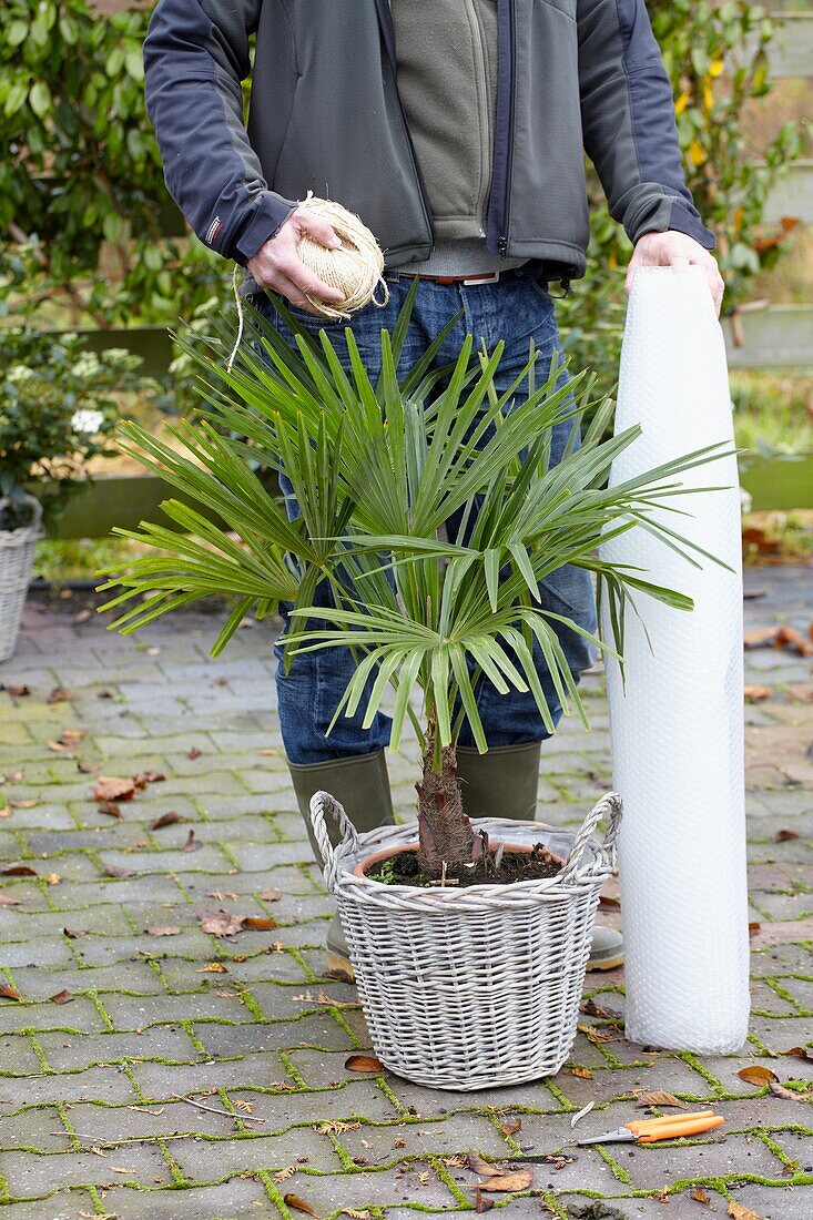 Winter plant protection