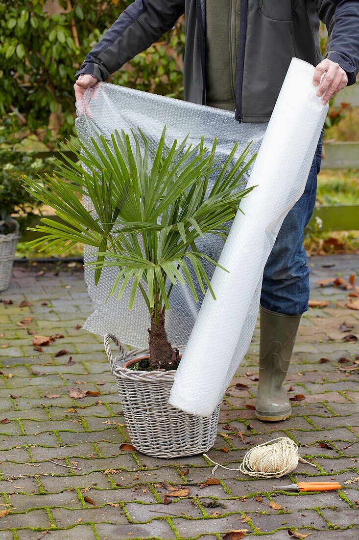 Winter plant protection