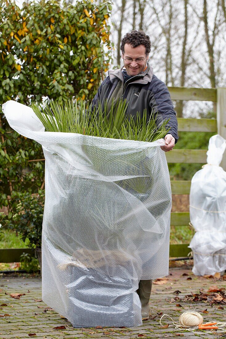 Winter plant protection