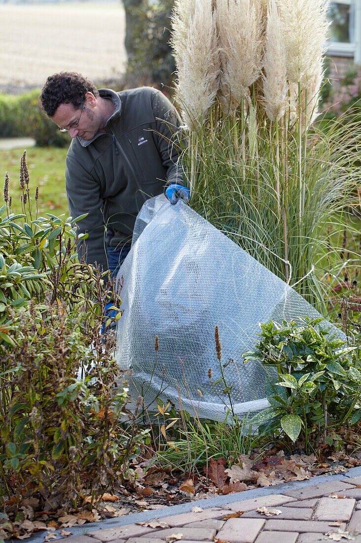 Winter plant protection