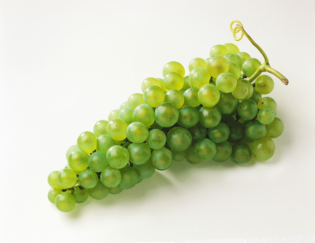 Grüne Weintraube