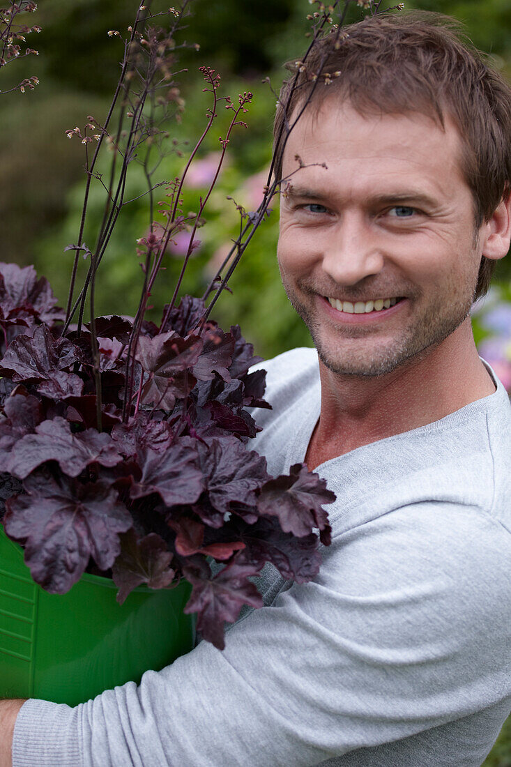 Mann hält Heuchera