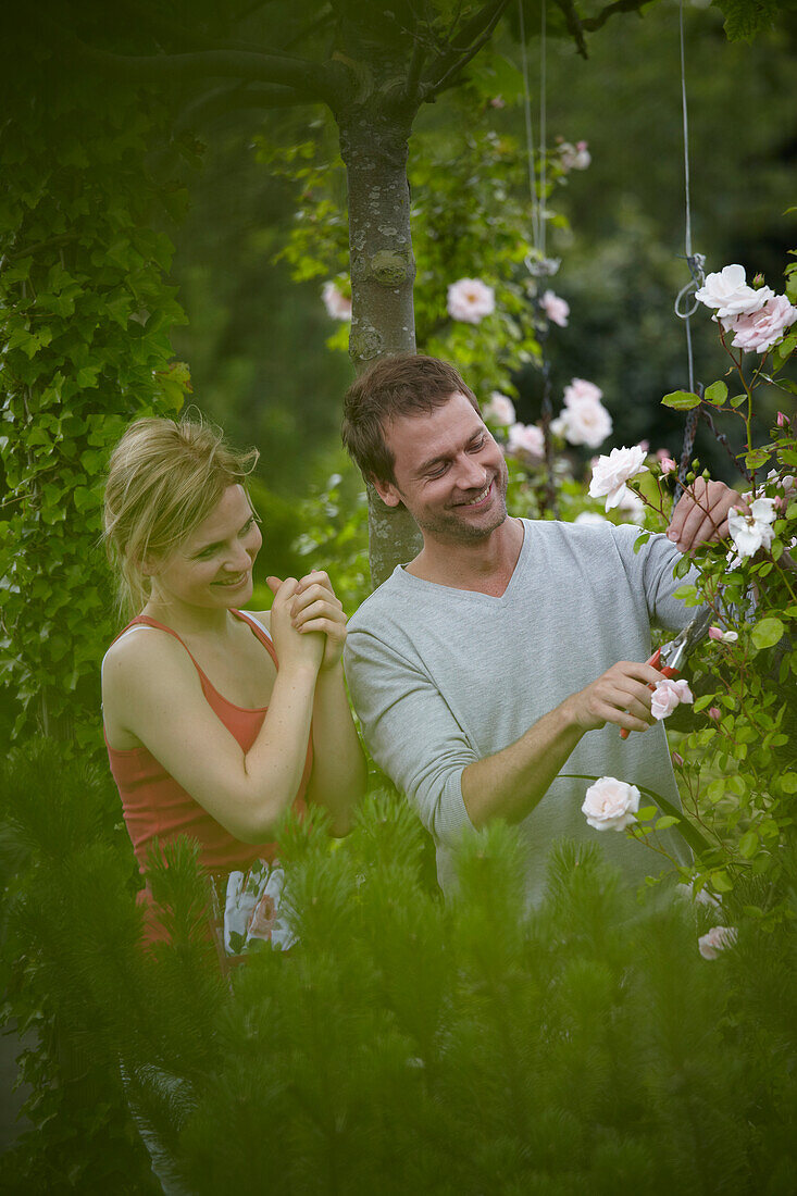 Couple in rose garden