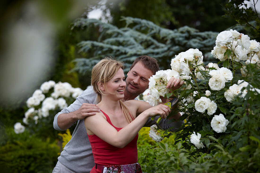 Couple in rose garden