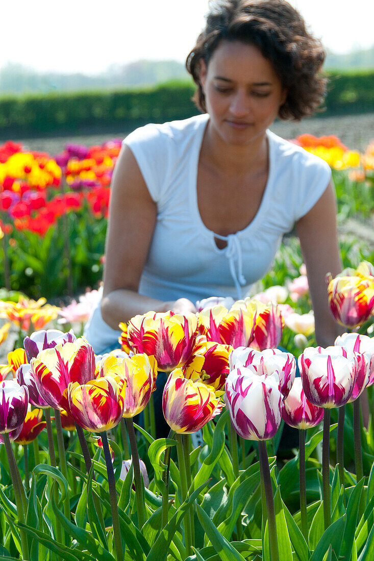 Frau erfreut sich an Tulpen