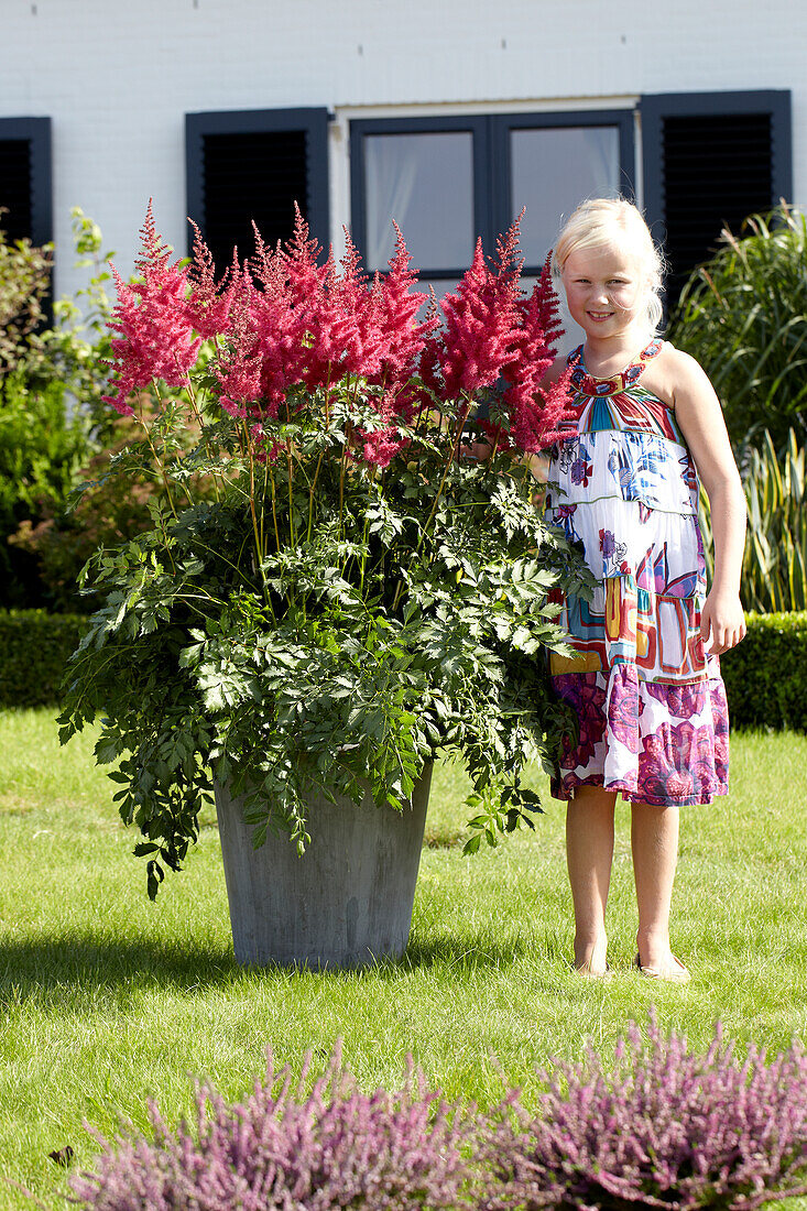 Astilbe Mighty Red Quin