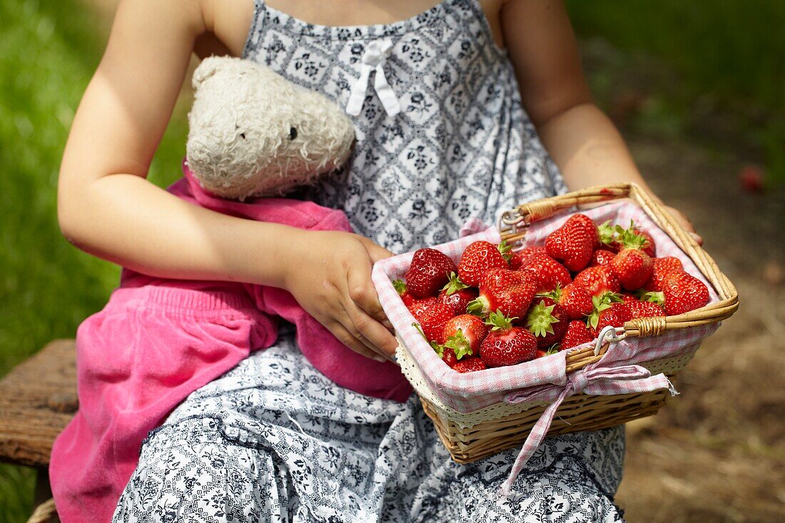 Picking strawberries