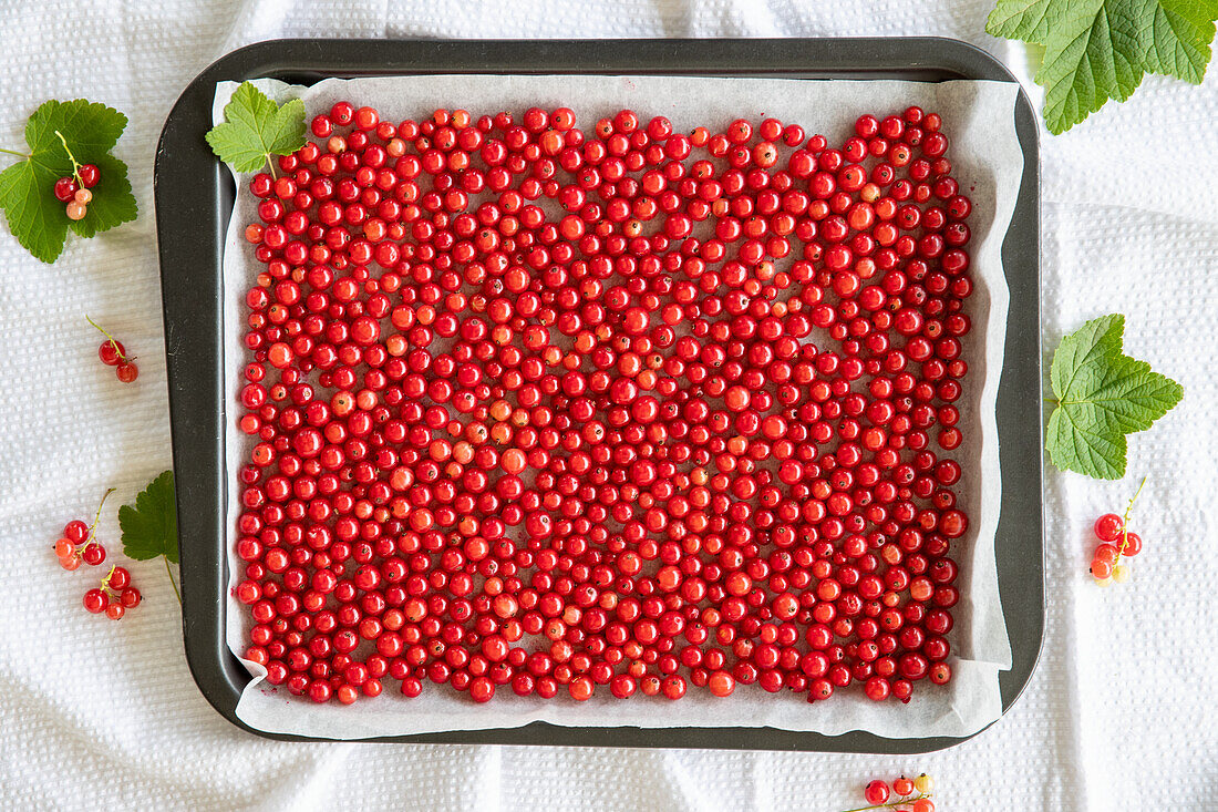 Tray with redcurrants and leaves