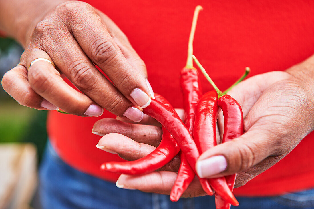 Woman holding red chilli peppers