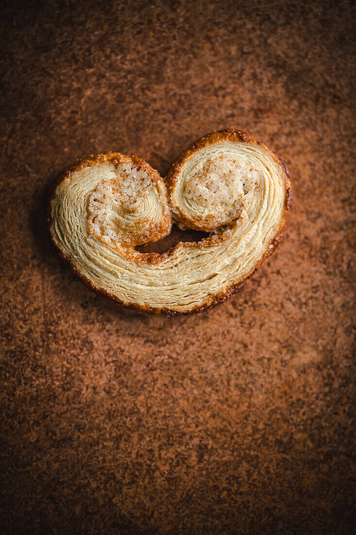 Palmier auf braunem Hintergrund