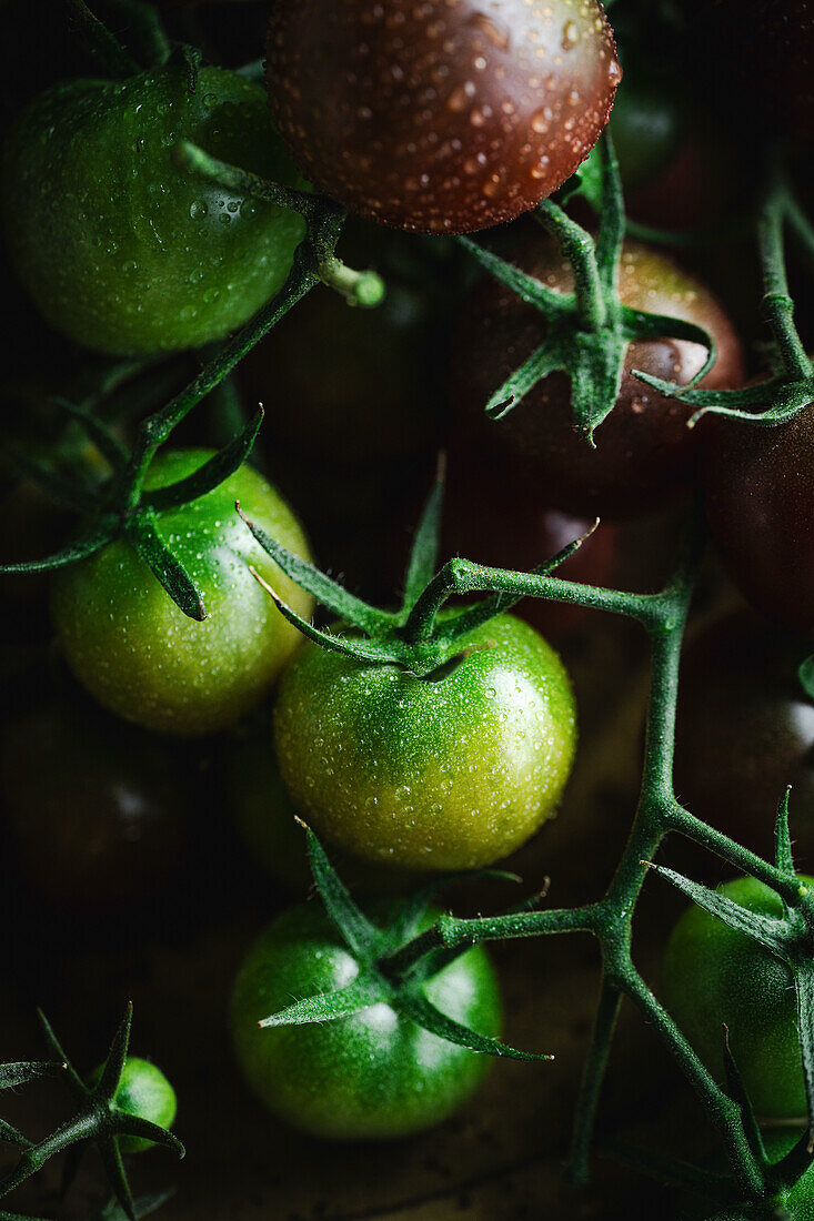 Close-up of green cherry tomatoes