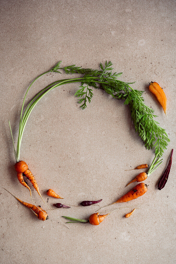 Small carrots in various shapes, arranged in a circle