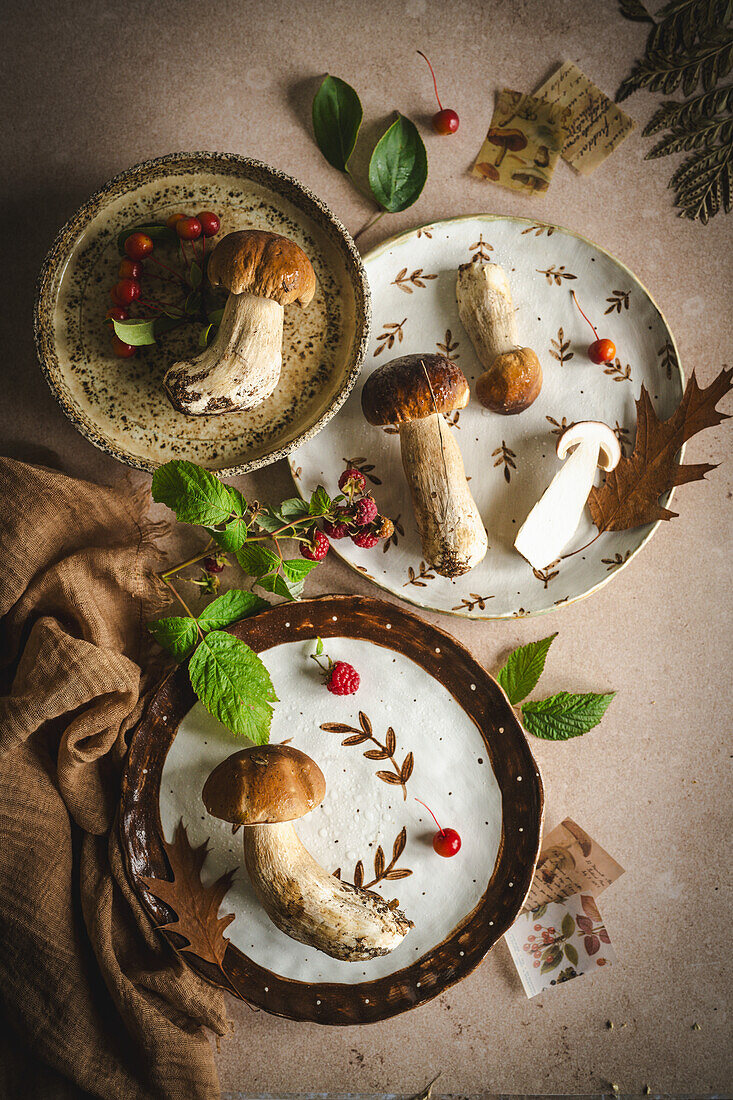 Wild mushrooms on autumnal plates