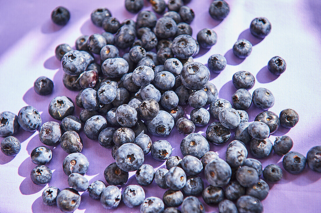 Fresh blueberries