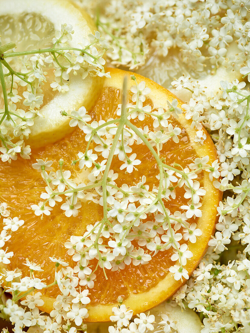 Elderflowers with orange and lemon slices