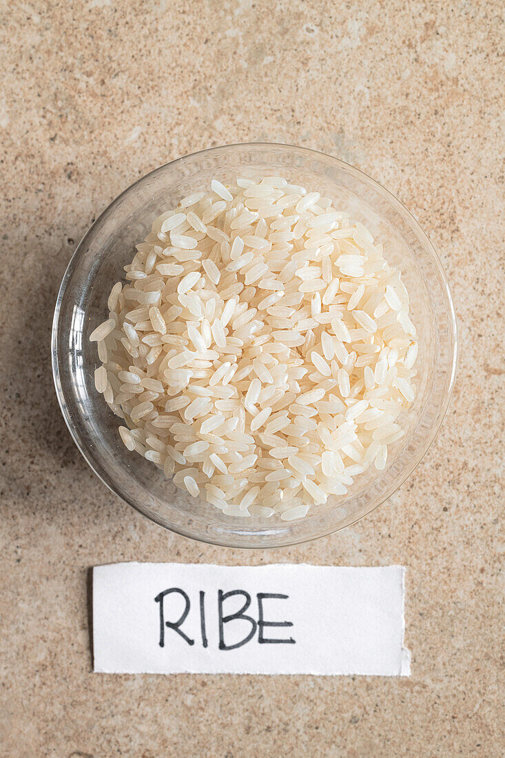 Italienischer Ribe-Reis