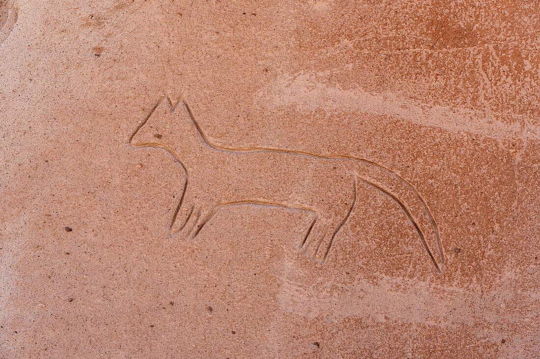 Petroglyph of fox at Yerbas Buenas, Chile