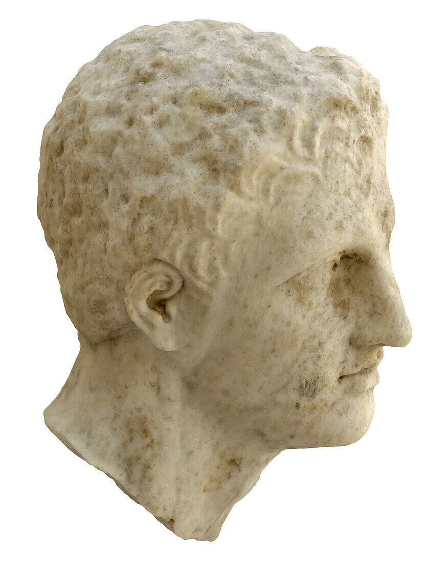 Marble head of a young man.
