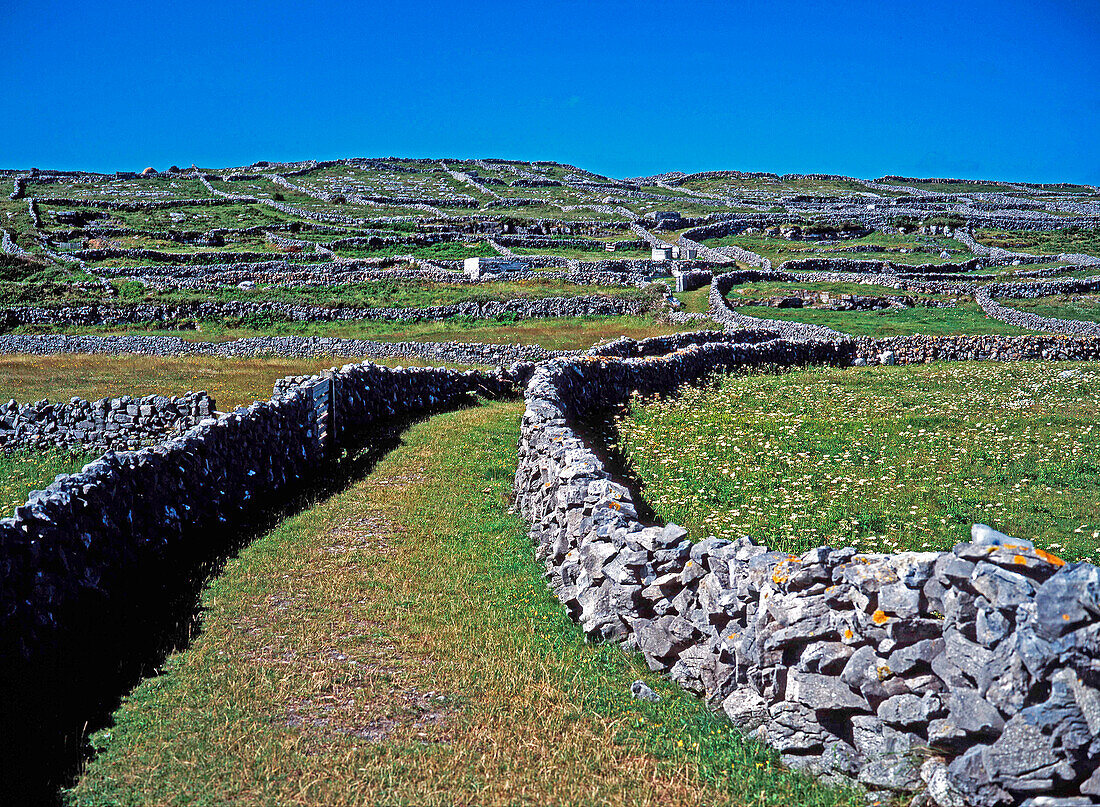 Drystone walls, Inishmore, Aran, Ireland
