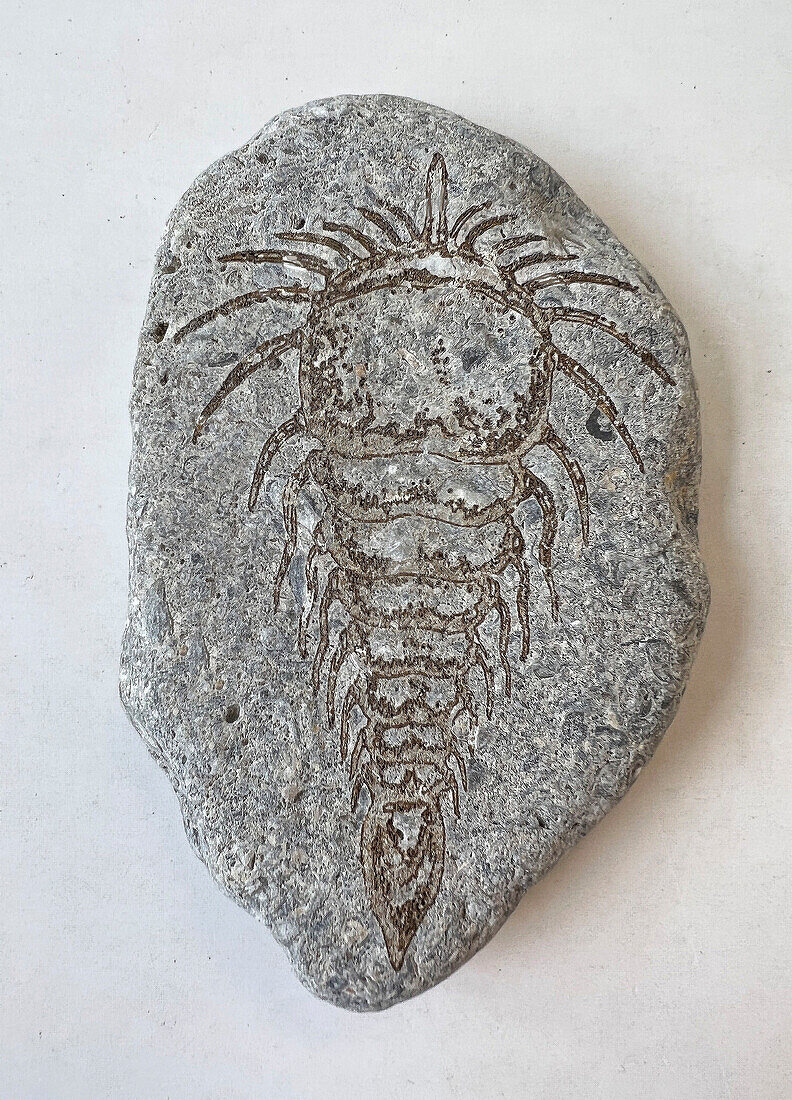 Alien fossil in stone, conceptual illustration