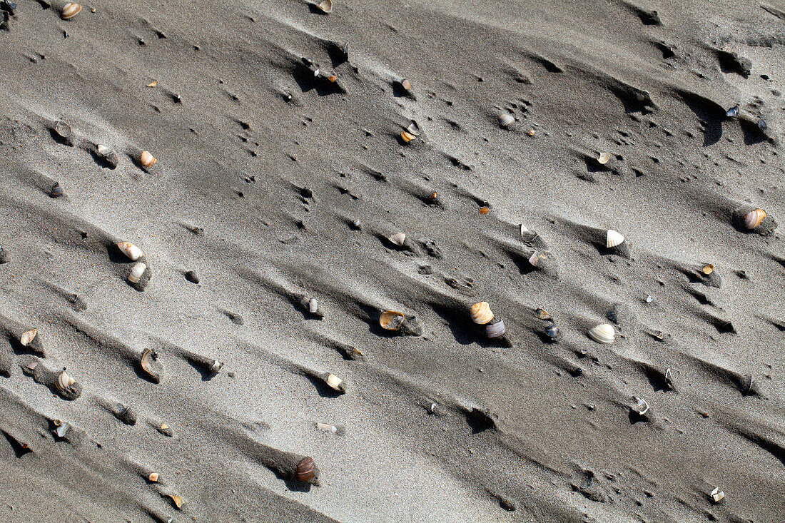 Flute casts in sand