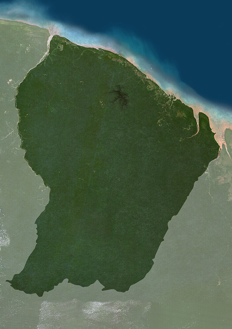 French Guiana, satellite image