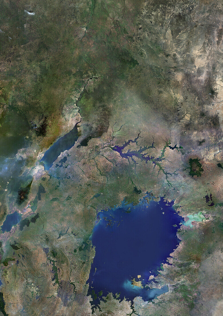 Uganda and Lake Victoria, satellite image