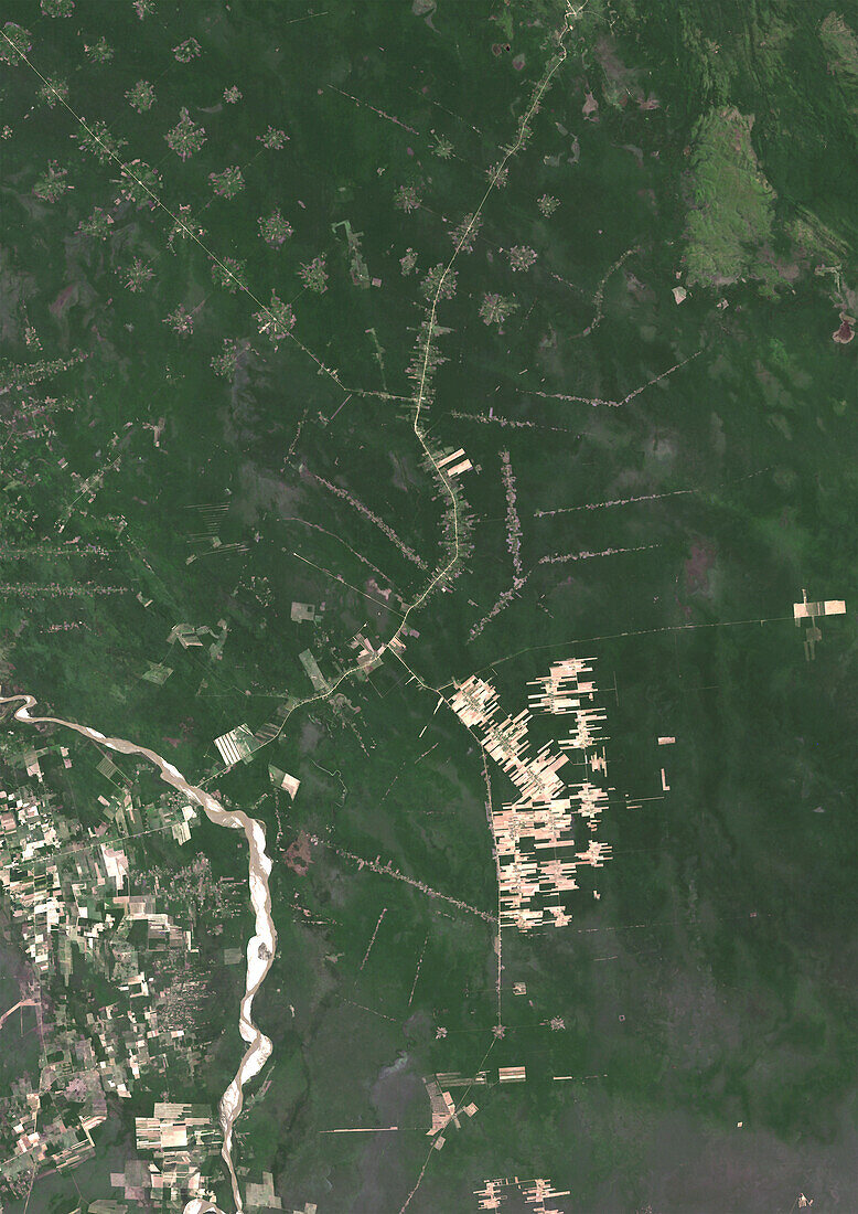 Deforestation in Bolivia in 1984, satellite image