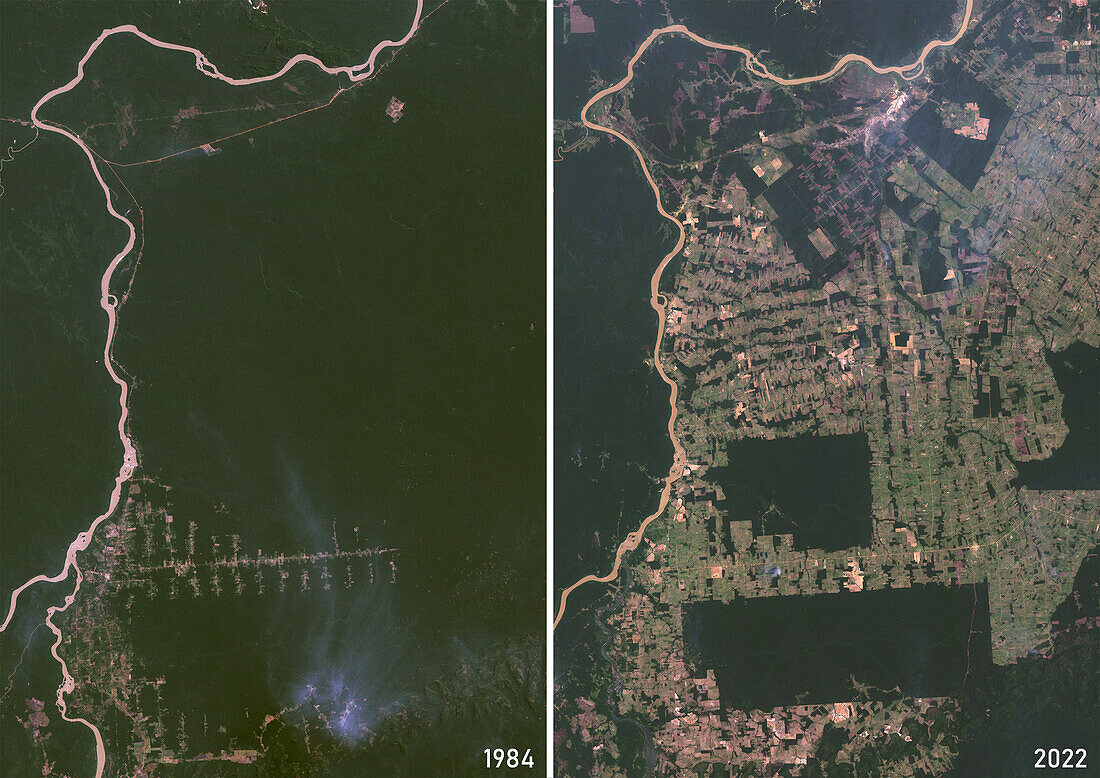 Deforestation, Rondonia, Brazil, 1984 and 2022, satellite image