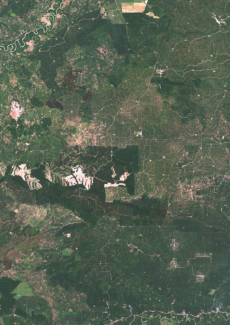 Oil palm plantation, North Sumatra in 2021, satellite image